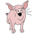 pig