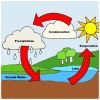 water cycle  Picture