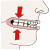 bite