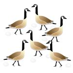 Six Geese Stencil