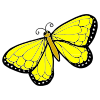 There_s+yellow+butterfly_+yellow+butterfly+fly+fly+fly Picture