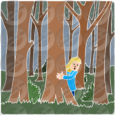 Walk in Woods