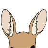 Kangaroo Ears Picture