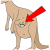 pouch