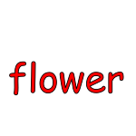 flower Picture