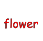 flower Picture