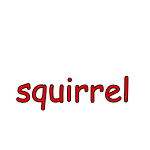 squirrel Picture