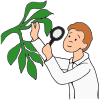 botany