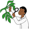 science  Picture
