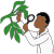 botany