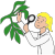 botany