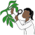 plants