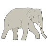 The elephants were hosing