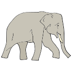 Elephant Picture
