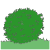 bush