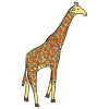 Giraffe+%28R_+J%29 Picture