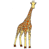 Tall+Giraffe Picture
