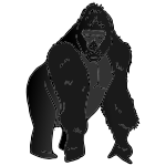 Gorilla Picture