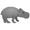 hippopotamus Picture