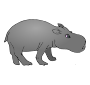 Hippo Picture