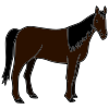 The horses were neighing