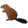 beaver+-+castor Picture