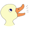 Quack Picture