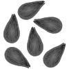 seeds Picture