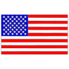 The+Flag+is+a+symbol+of+America. Picture