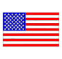 USA Flag Picture