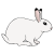 bunny