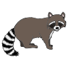 See you soon, sweet raccoon.