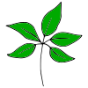 I can see leaves.