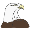 Eagle Award
