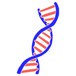 DNA Stencil