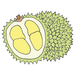 Durian Picture