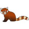 Red+Panda Picture