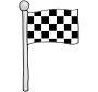 Checkered Flag Picture