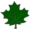 Leaf-Hoja Picture