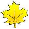 Yellow+Leaf Picture