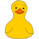 Nice Duck Picture