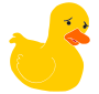 Sad Duck