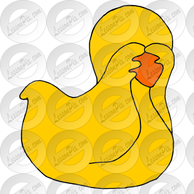 Shy Duck