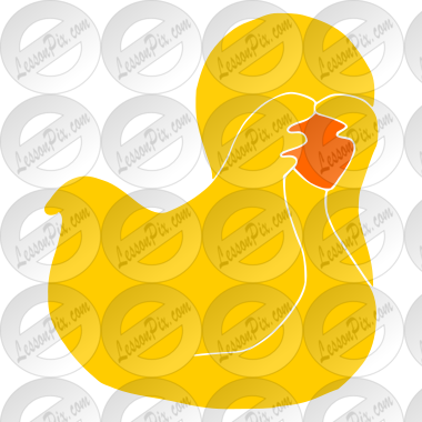 Shy Duck