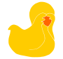 Shy Duck