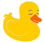 Sleepy Duck