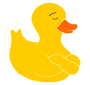 Stubborn Duck