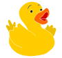 Surprised Duck