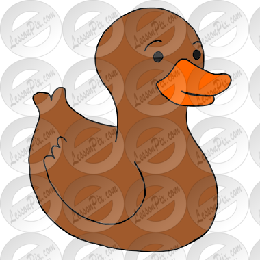 Brown Duck