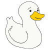 White Duck  Picture